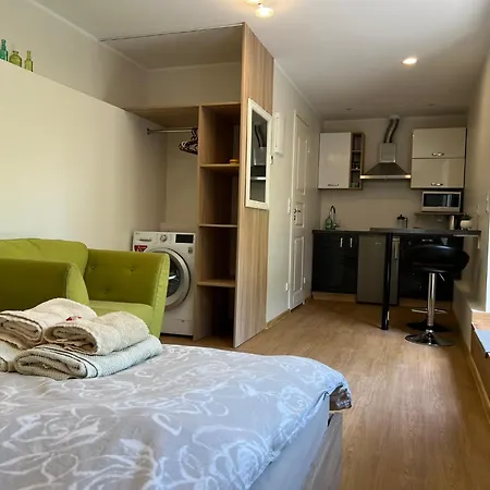 Jaama Flat Surrounded By Garden Apartment