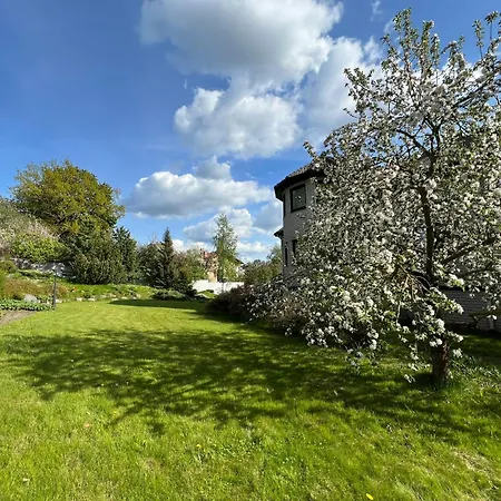 Jaama Flat Surrounded By Garden Apartment Tartu