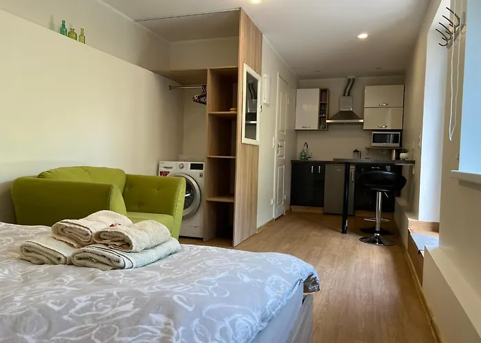 Jaama Flat Surrounded By Garden Apartment