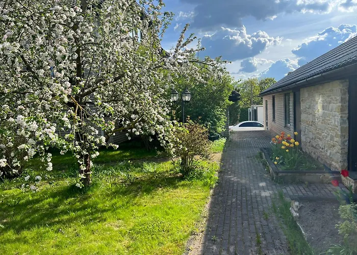 Apartment Jaama Flat Surrounded By Garden Tartu