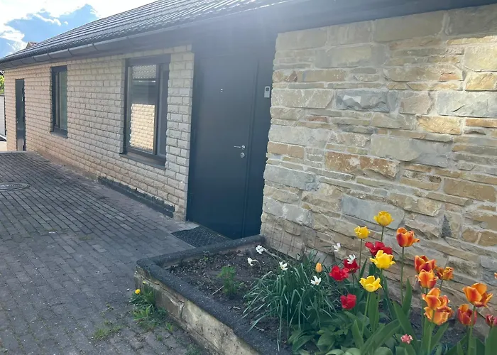 Jaama Flat Surrounded By Garden Tartu